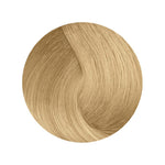 Зареди изображението в галерията, Цветна проба на боя за коса Fanola ColorZoom 10.0 в светъл блондин.
