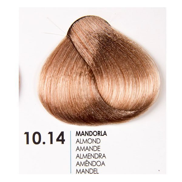 Fanola brown 10