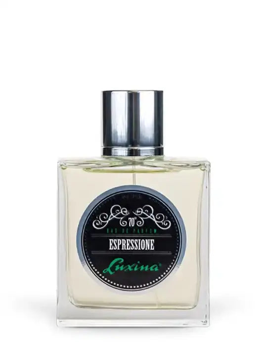 Luxina Uomo Parfum bottle, 100ml, Italian men's fragrance with elegant design and quality craftsmanship.